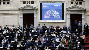 Argentiniens Parlament verabschiedet umstrittenes Reformpaket von Präsident Milei