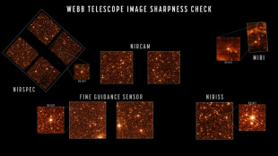 Primeras imágenes científicas a color del telescopio espacial Webb se esperan en julio