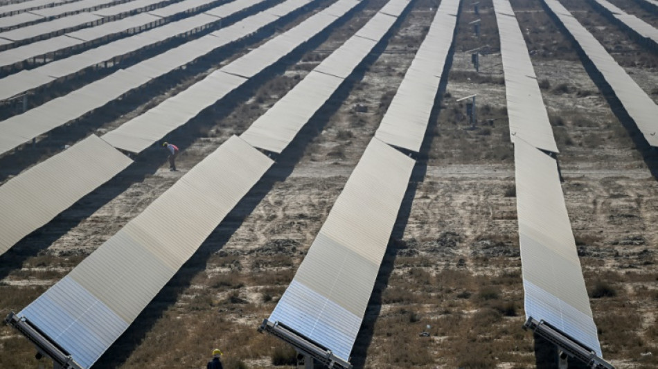 Indian tycoon Adani bets big on vast solar and wind plant