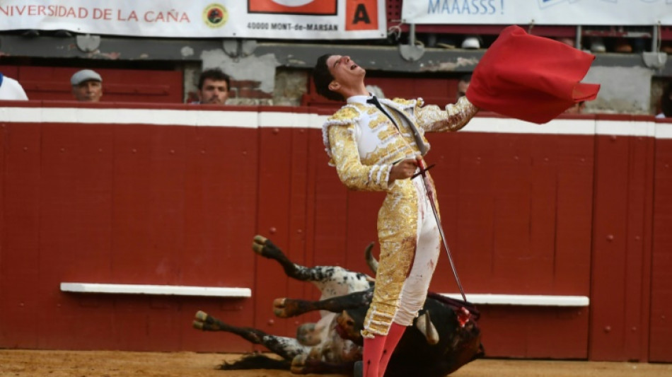 French Senate rejects bill to ban under-16s from attending bullfights