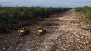 Mexico president's tourist train suffers new legal blow