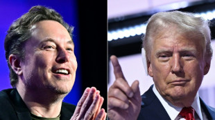 Trump says would tap Musk to lead US government 'efficiency' panel