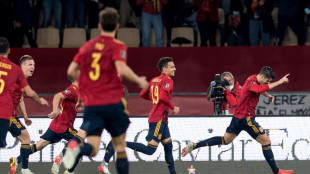 La Roja jugará dos amistosos contra Islandia y Albania en marzo