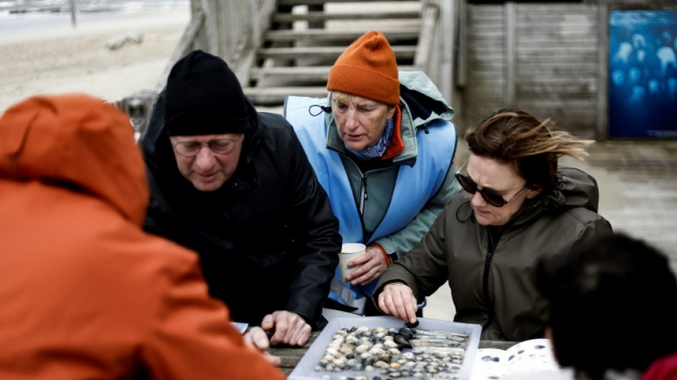 En mer du Nord, un grand comptage de coquillages pour mesurer la biodiversité