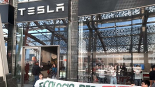 Blitz di Extinction Rebellion nel negozio Tesla a Milano