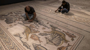 Roman-era mosaic back in Israel as centrepiece of new museum