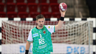 Handball: Berlin an der Spitze, auch Flensburg im Flow