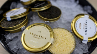 Polish fish farm fights 'myth of Russian caviar'