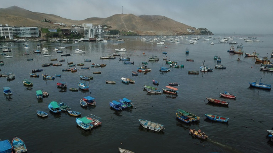 Sombrío balance de derrame petrolero en Perú: aves muertas y pescadores sin trabajo