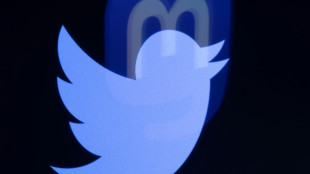 Twitter unveils 'official' label for top accounts