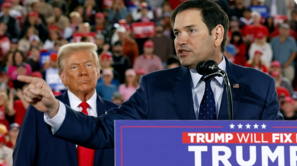 Trump makes new appointments, Rubio tipped for secretary of state