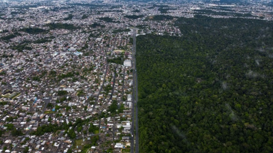 Crescimento verde renderia bilhões de reais ao Brasil, segundo estudo