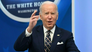 Biden meets with G7, addresses US on response to Russia