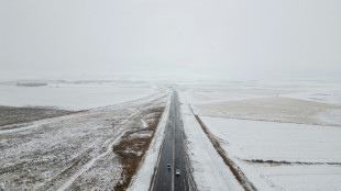 De fortes et rares chutes de neige bloquent les routes en Afrique du Sud