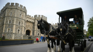 Hoppy and glorious: brewery bets on queen's jubilee beer rush