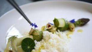 Guide Michelin testet jetzt auch Restaurants in Istanbul