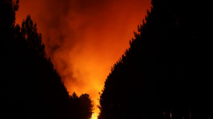 Francia recibe ayuda europea para enfrentar los incendios que arrasan miles de hectáreas
