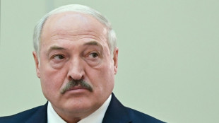 Lukaschenko lässt am 27. Februar in Belarus über Verfassungsänderungen abstimmen