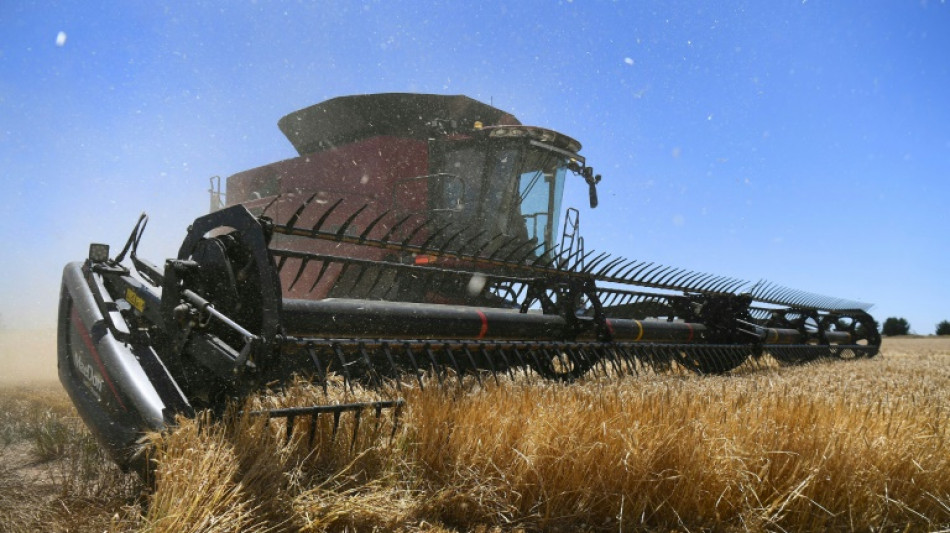 Chinese appetite for Australian barley is back