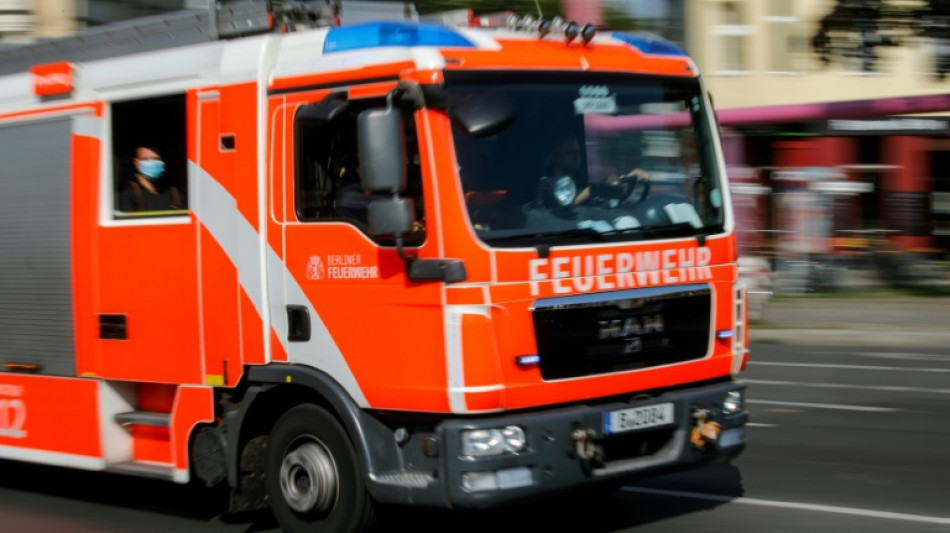 Etwa 800 Schweine sterben bei Stallbrand in Borken