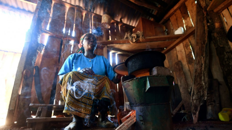 Carbon-cutting benefit of cookstoves vastly overestimated: study
