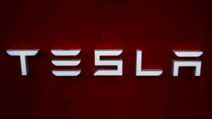 Las acciones de Tesla caen un 9% por las ventas decepcionantes en Europa