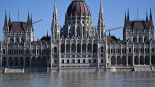 Hongrie: le Danube en crue assiège Budapest après la tempête Boris