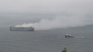 Ship blaze off Dutch coast losing 'intensity'