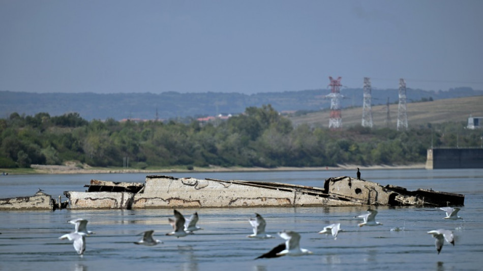 80 ans après l'opération "Danube Elf", la flotte nazie resurgit du Danube