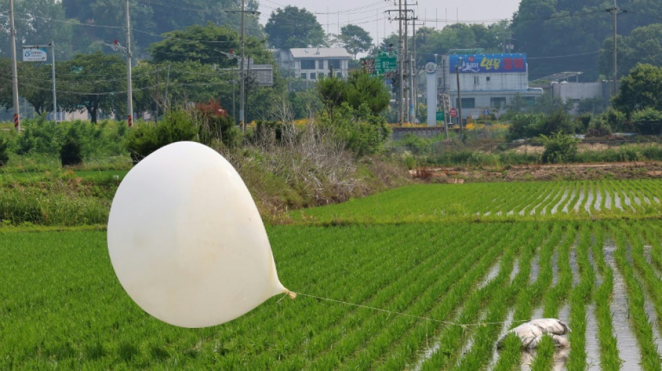 Seoul: Parasiten aus menschlichen Fäkalien in Müllballons aus Nordkorea gefunden