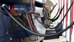 Voitures électriques: 2024 devrait être une nouvelle année record dans le monde, selon l'AIE