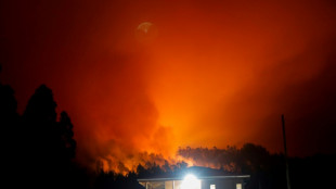 Death toll in Chile forest fires rises to 16: official