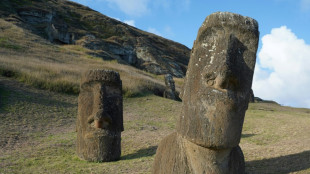 La thèse d'un "écocide" sur l'île de Pâques vacille