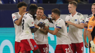 2. Liga: Doppelpacker Kittel lässt Hamburg jubeln - Nürnberg verspielt Führung