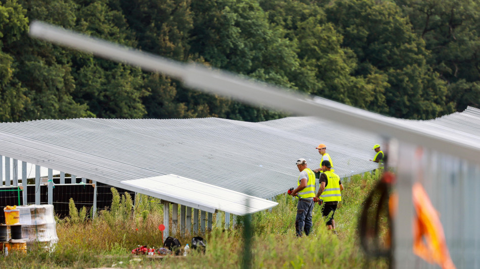 Confartigianato, mancano oltre 828mila lavoratori green