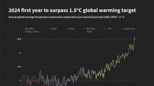 Record numbers forced to flee climate disasters: UN