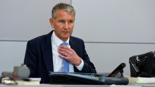 Weiterer Prozess gegen AfD-Politiker Höcke wegen Verwendens von NS-Parole