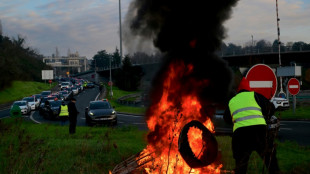 Transport des malades: des chauffeurs de taxi en colère et inquiets mobilisés à Lyon et Toulon