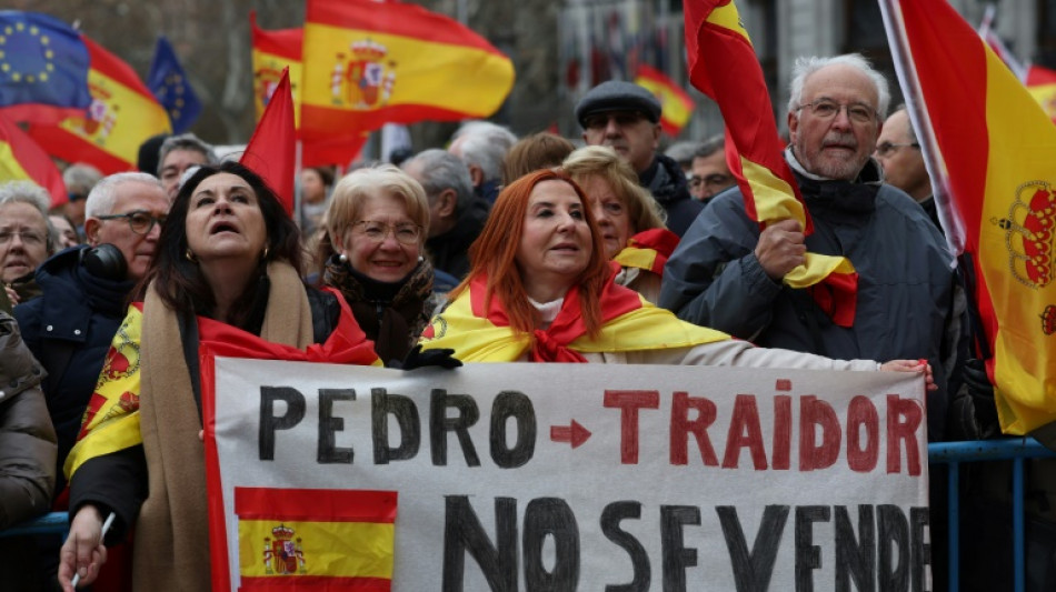 Protestos em Madri contra lei de anistia pede renúncia de Pedro Sánchez