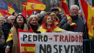 Protestos em Madri contra lei de anistia pede renúncia de Pedro Sánchez