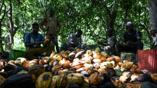 Ivory Coast, Ghana throw down gauntlet on cocoa price