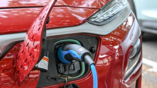 Weil fordert Wiederauflage der staatlichen Kaufprämie für Elektroautos