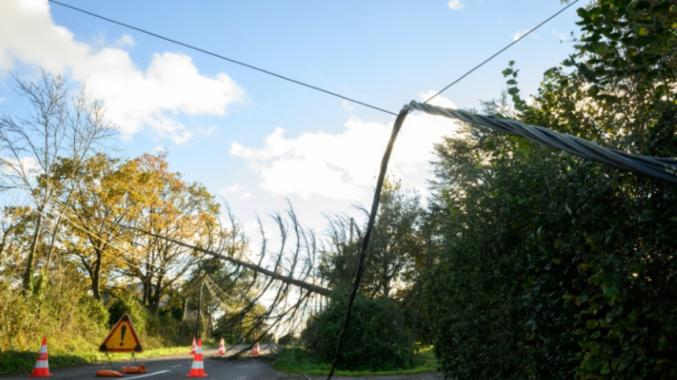 Tempête Caetano: 47.000 foyers encore sans électricité