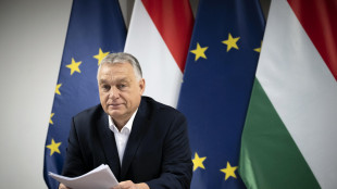 Orban, Trump oggi schierato coraggiosamente per la pace