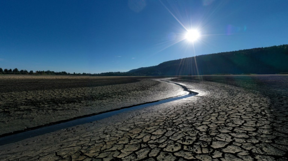 Plus d'eau au robinet, cultures à sec: le gouvernement rattrapé par une sécheresse historique