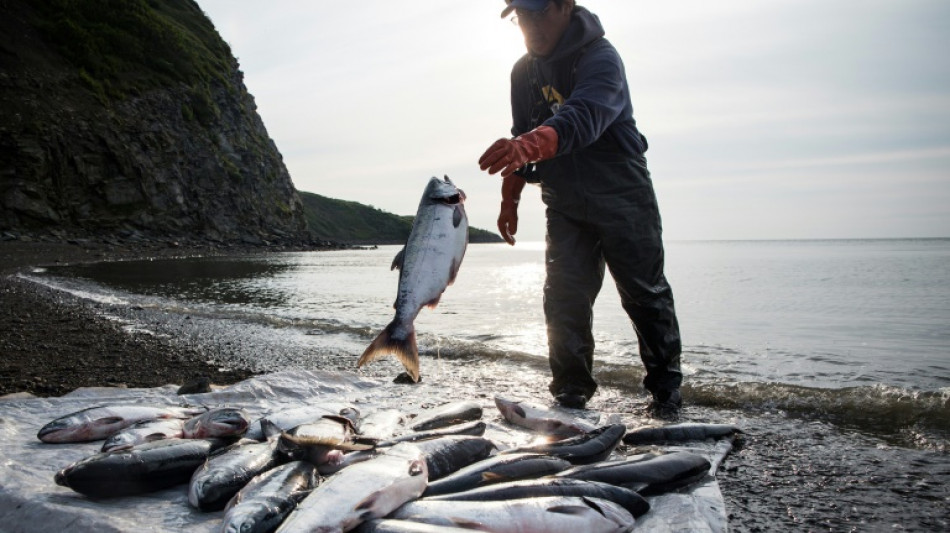 EPA blocks Alaska mining project in salmon-rich Bristol Bay