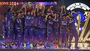 Big money as Saudi makes foray into cricket with IPL auction