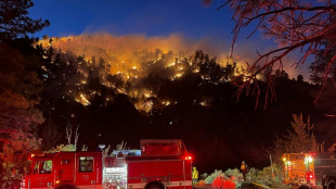 Wildfire tears through California forest as temperatures rocket