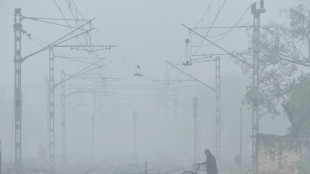 Un tren de mercancías recorre 70 km sin conductor en India