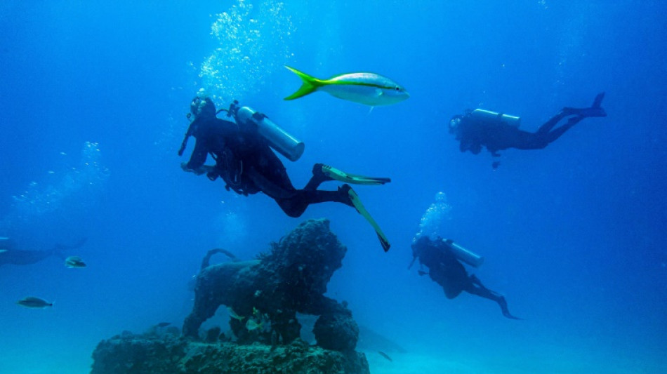 Off Florida, underwater burial ground offers aquatic lifeline